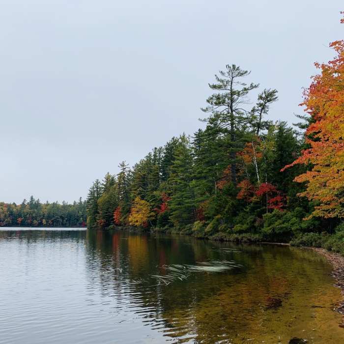 Floodwood Pond from the South Near Floodwood Loop Trail