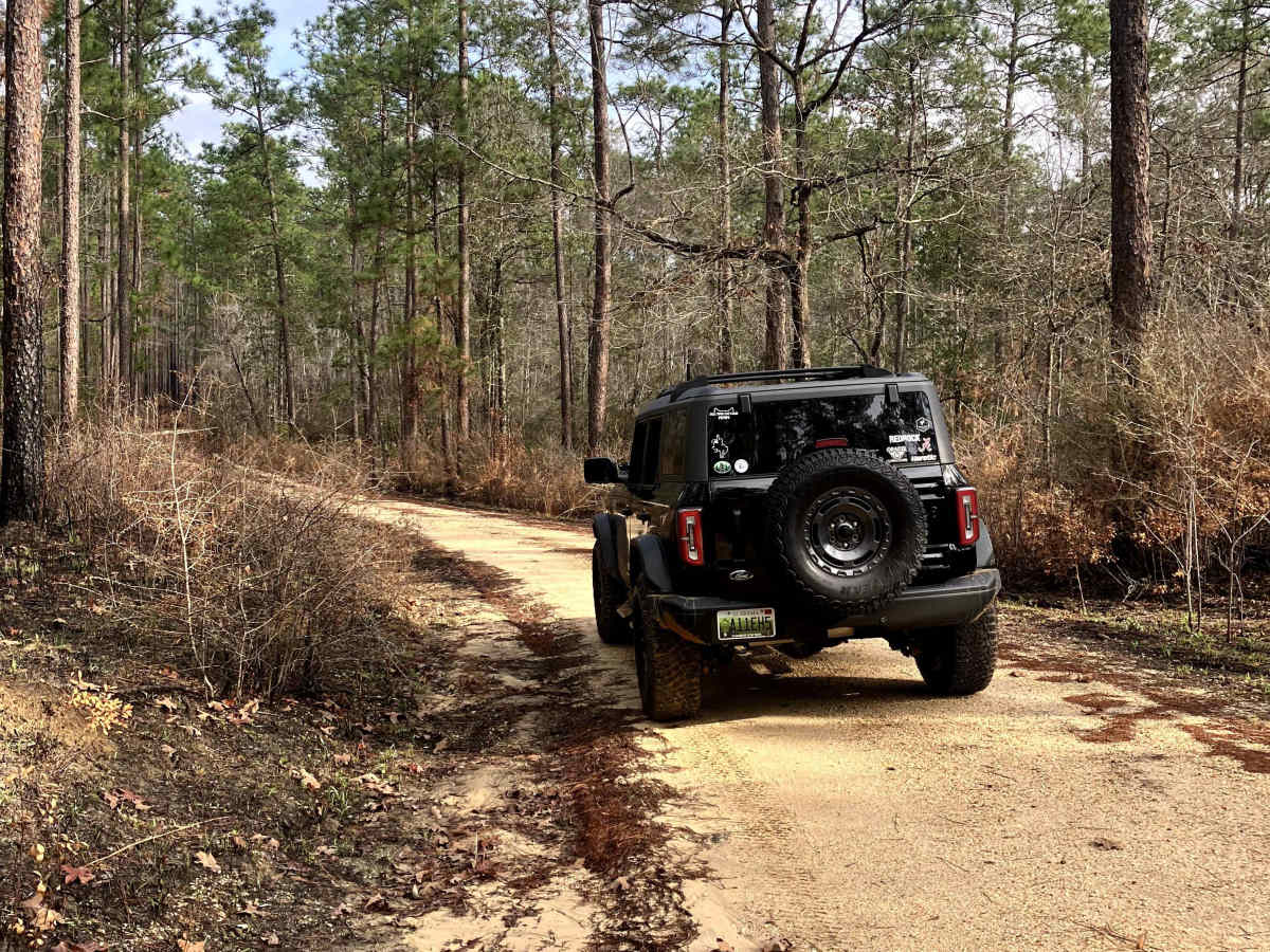 Boggy Hollow Road - FS 374 photo 4