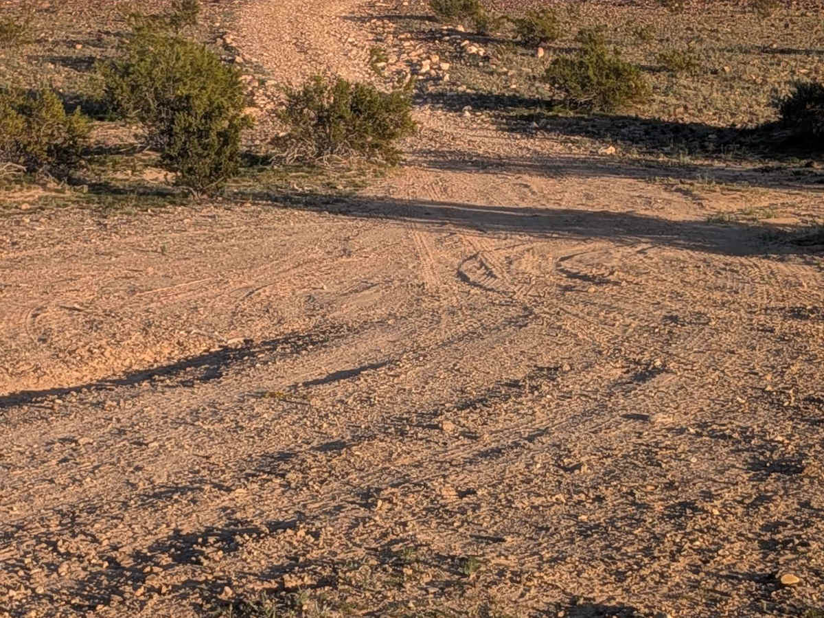 EC1152 trail photo