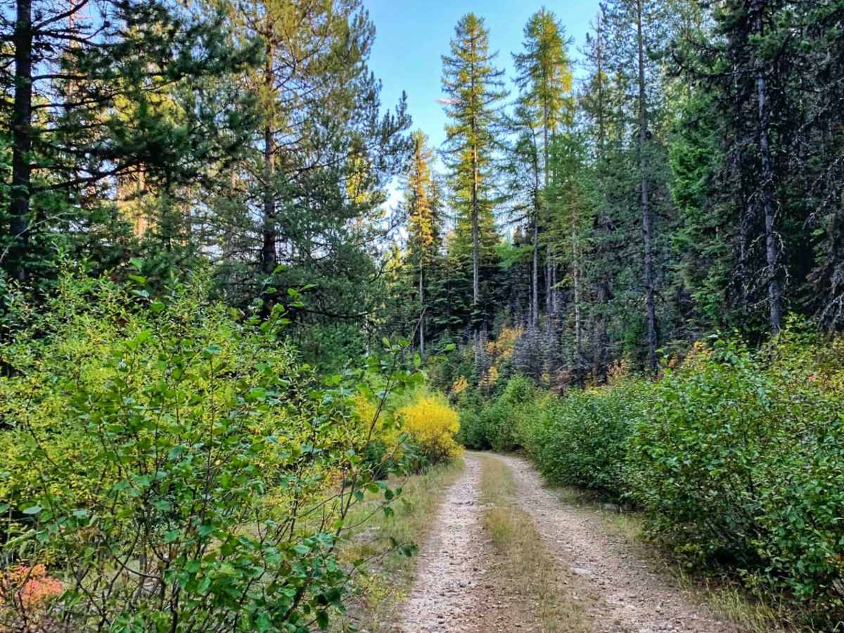McCalla to St.Mary's Connection trail photo