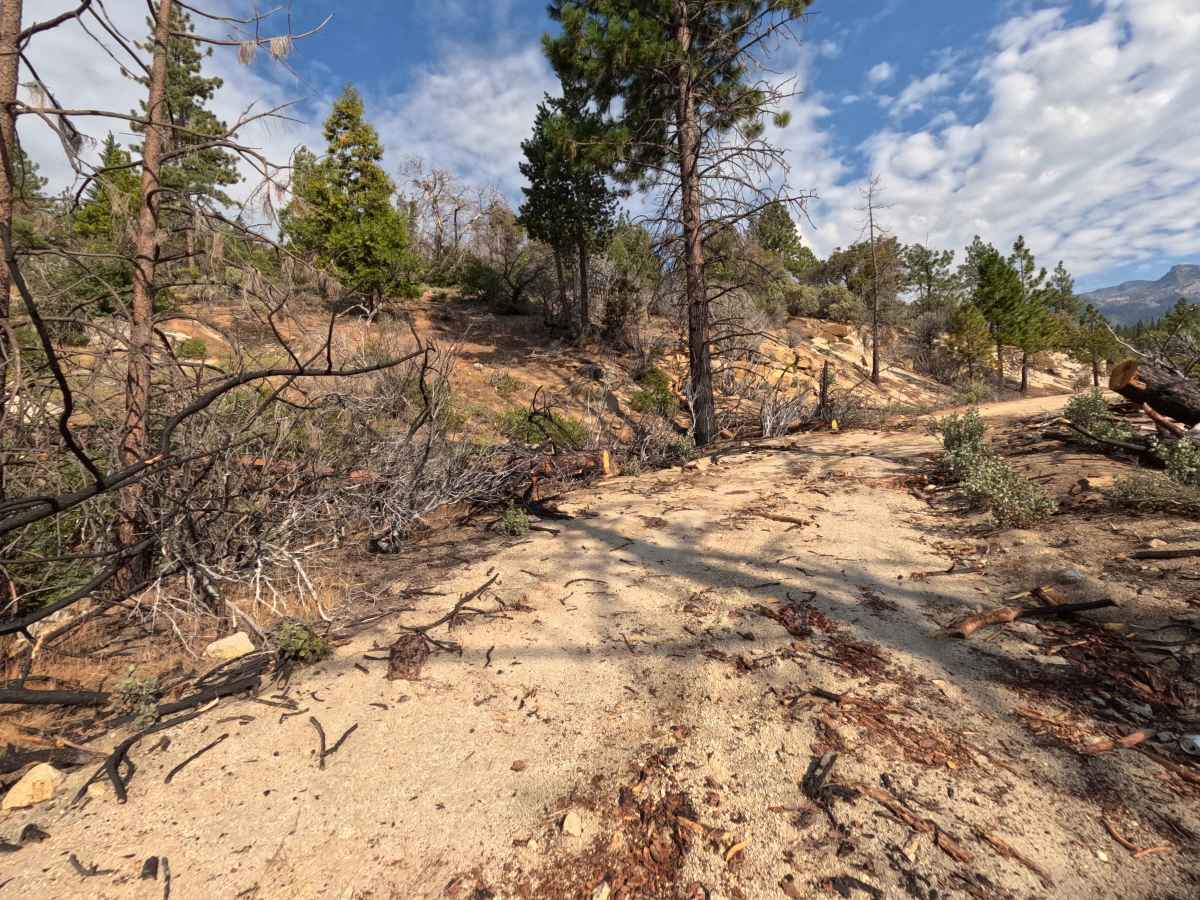 Kaiser Creek - FS 6S027 photo 5
