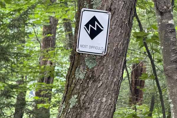 Trail 29
