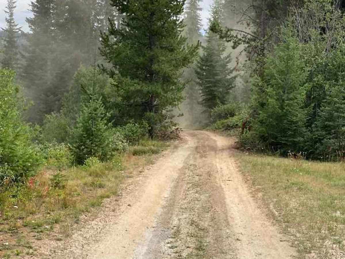 Moonlight Creek photo 2