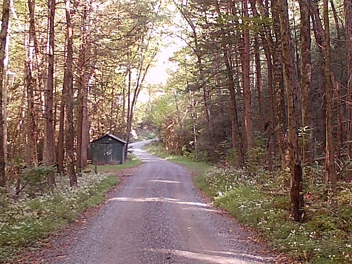 Short Mountain Road trail photo