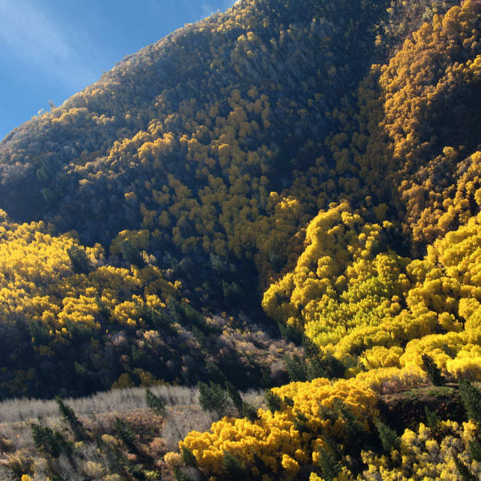 Autumn's Arrow can be viewed from the Mount Aire Trail in Mill Creek Canyon. Near Mount Aire Trail #017