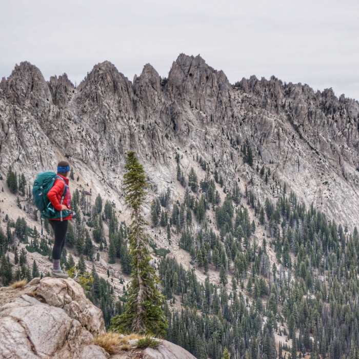 Near Iron Creek - Stanley Lake Trail #7640