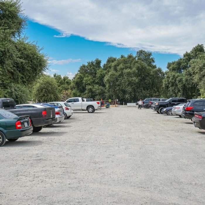 Near Barge Canal Trail