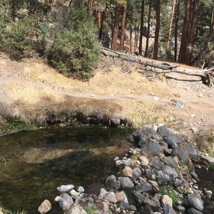 Near McCauley Hot Springs Out and Back