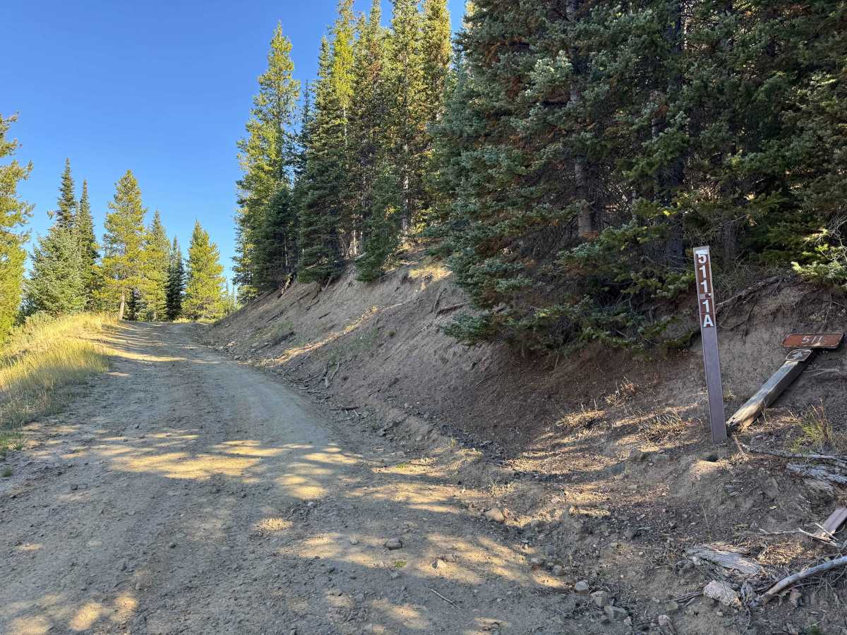 FS 511-1A trail photo