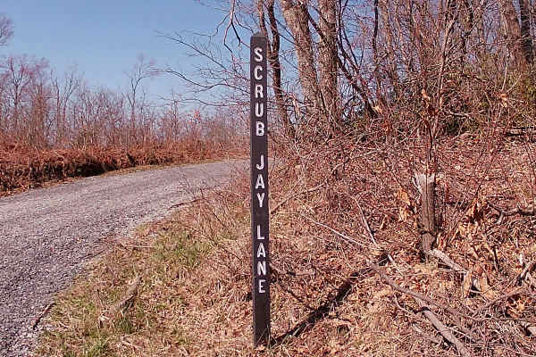 Rock Run Lane