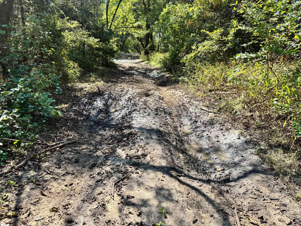 Torque Spec Trail photo 6
