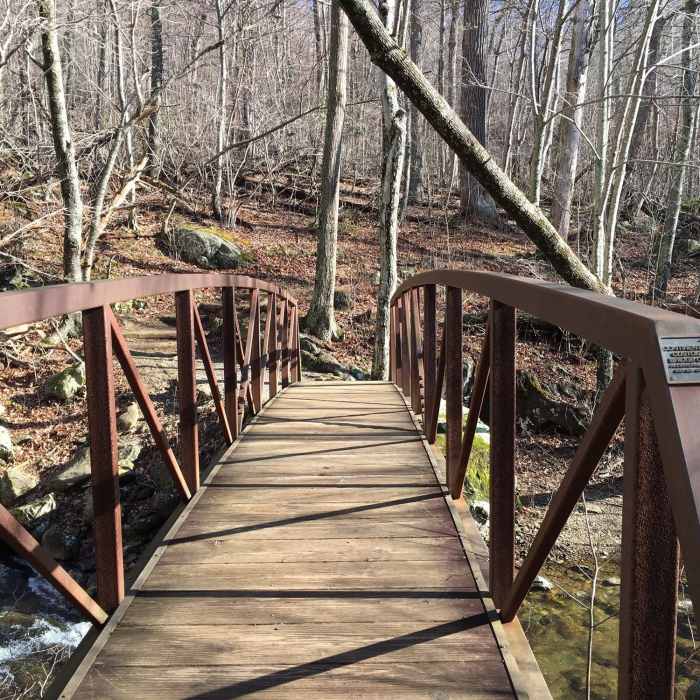 Near Whiteoak Canyon to Cedar Run Loop