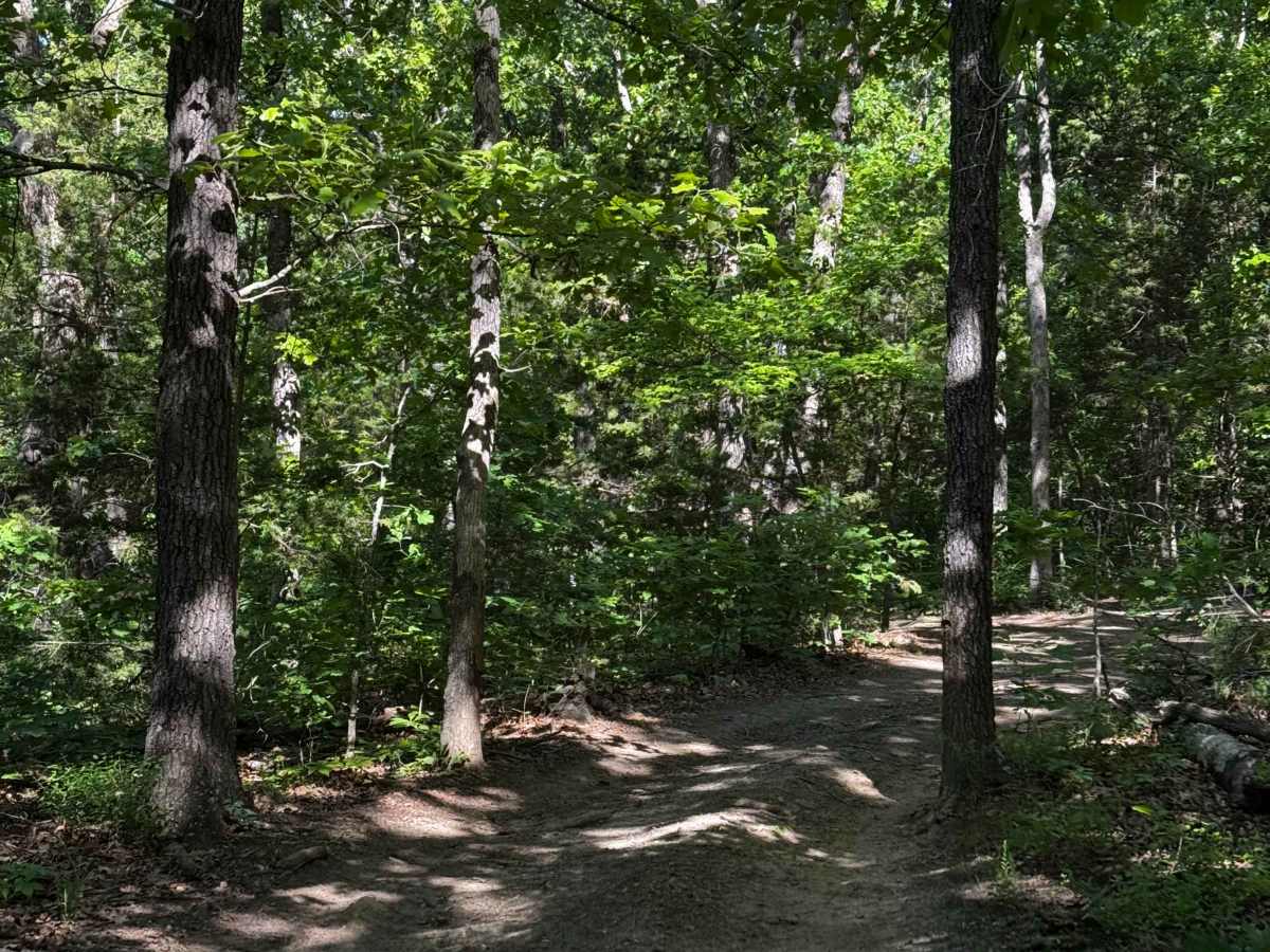 Inner Trail 17 trail photo