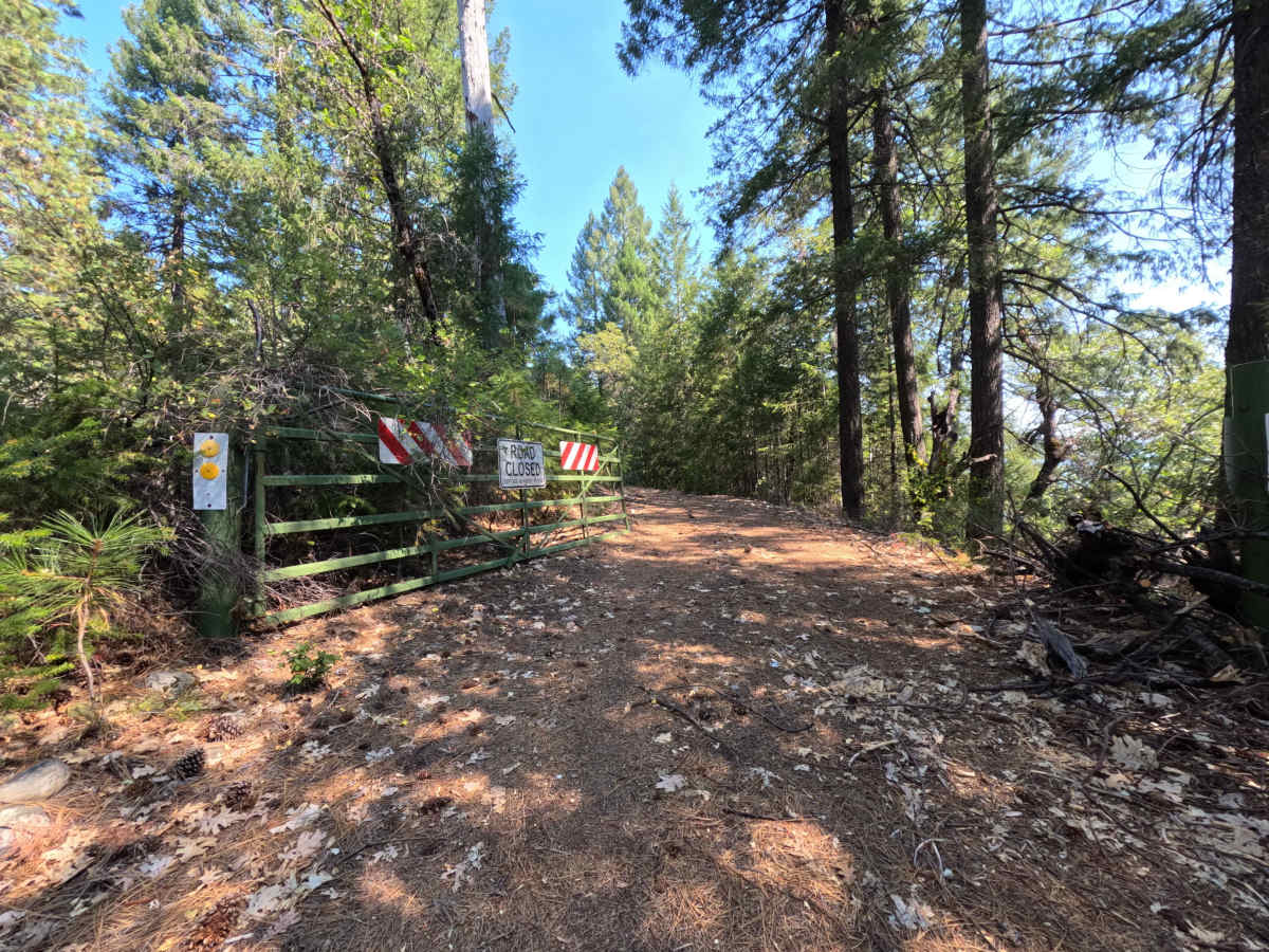 Moores Flat Diggings - FS 833-008 photo 2