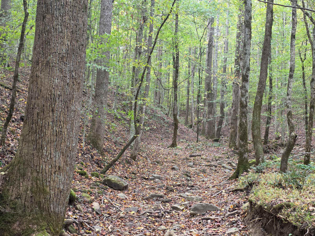 Wrong Turn photo 4