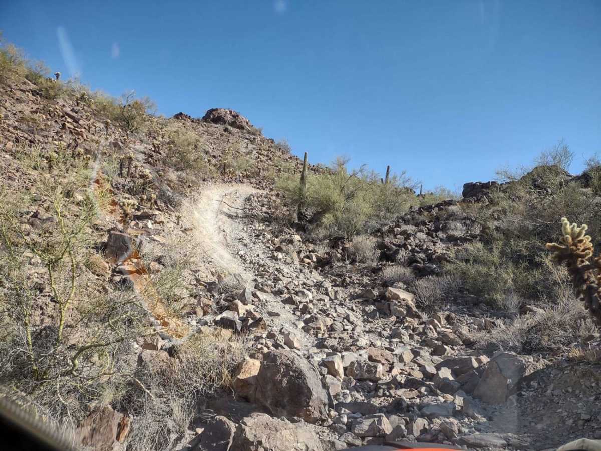 Rockin' Ram Trail photo 5