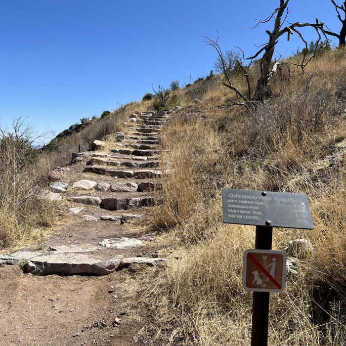 Near Arizona Trail Passage 1: Huachuca Mountains