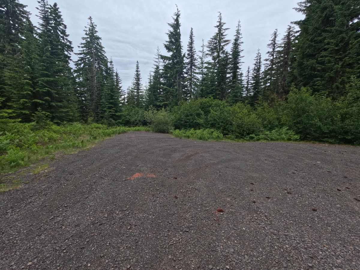 FS 2334015 photo 4