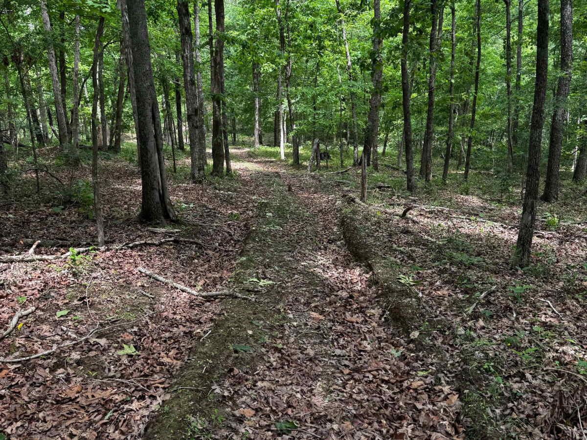 Perimeter Trail photo 4