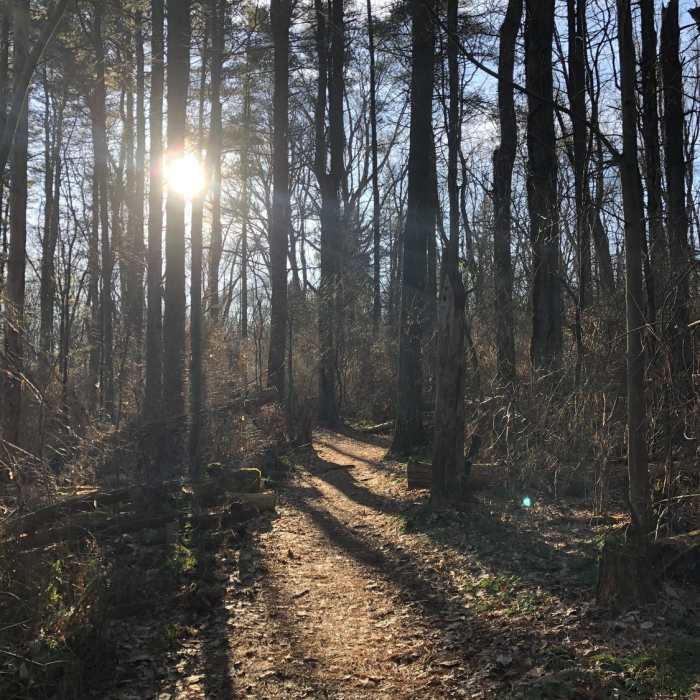 Part of Boone near Scott's Lake. Near French Creek State Park Loop with Horseshoe Trail