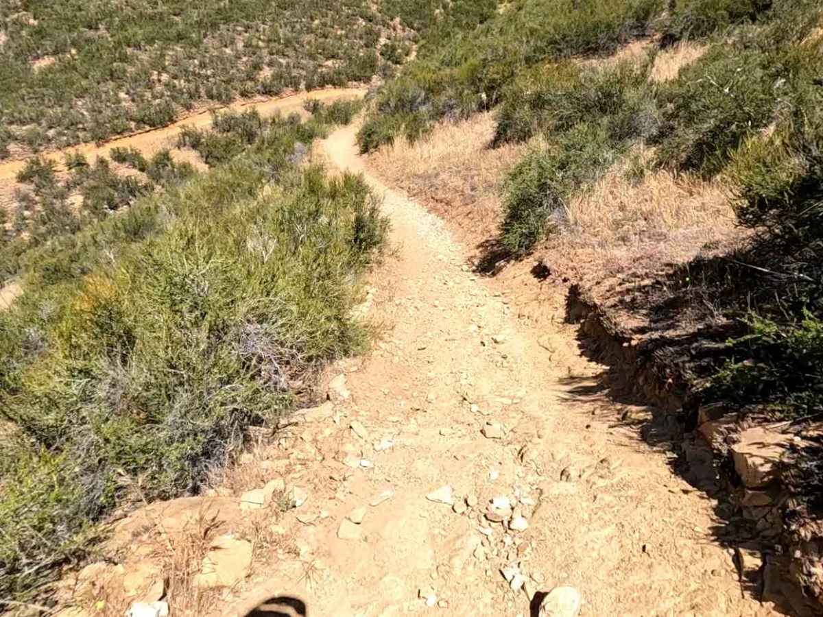 Knob OHV Trail photo 2