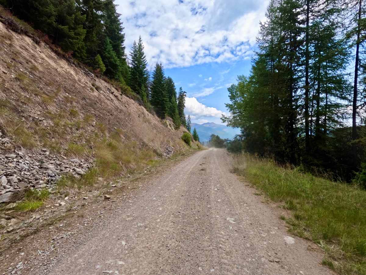 West Side Nine Mile Road photo 6