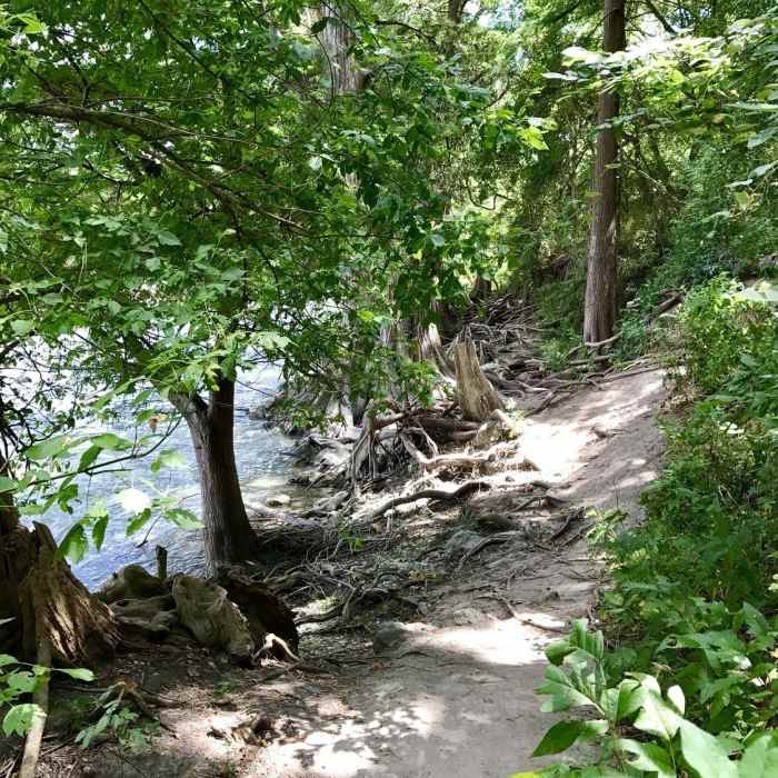 Near Bald Cypress Trail