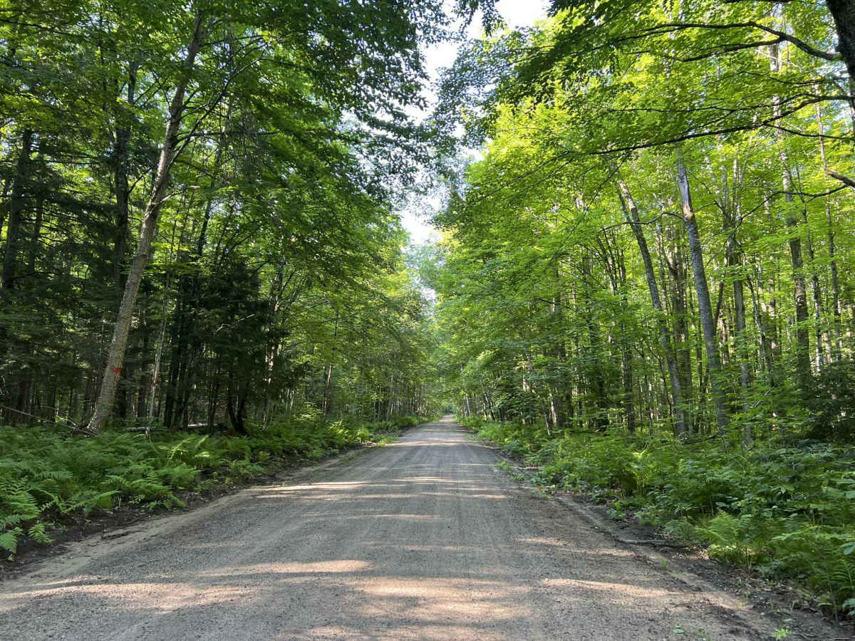 Brady Lake Road photo 5