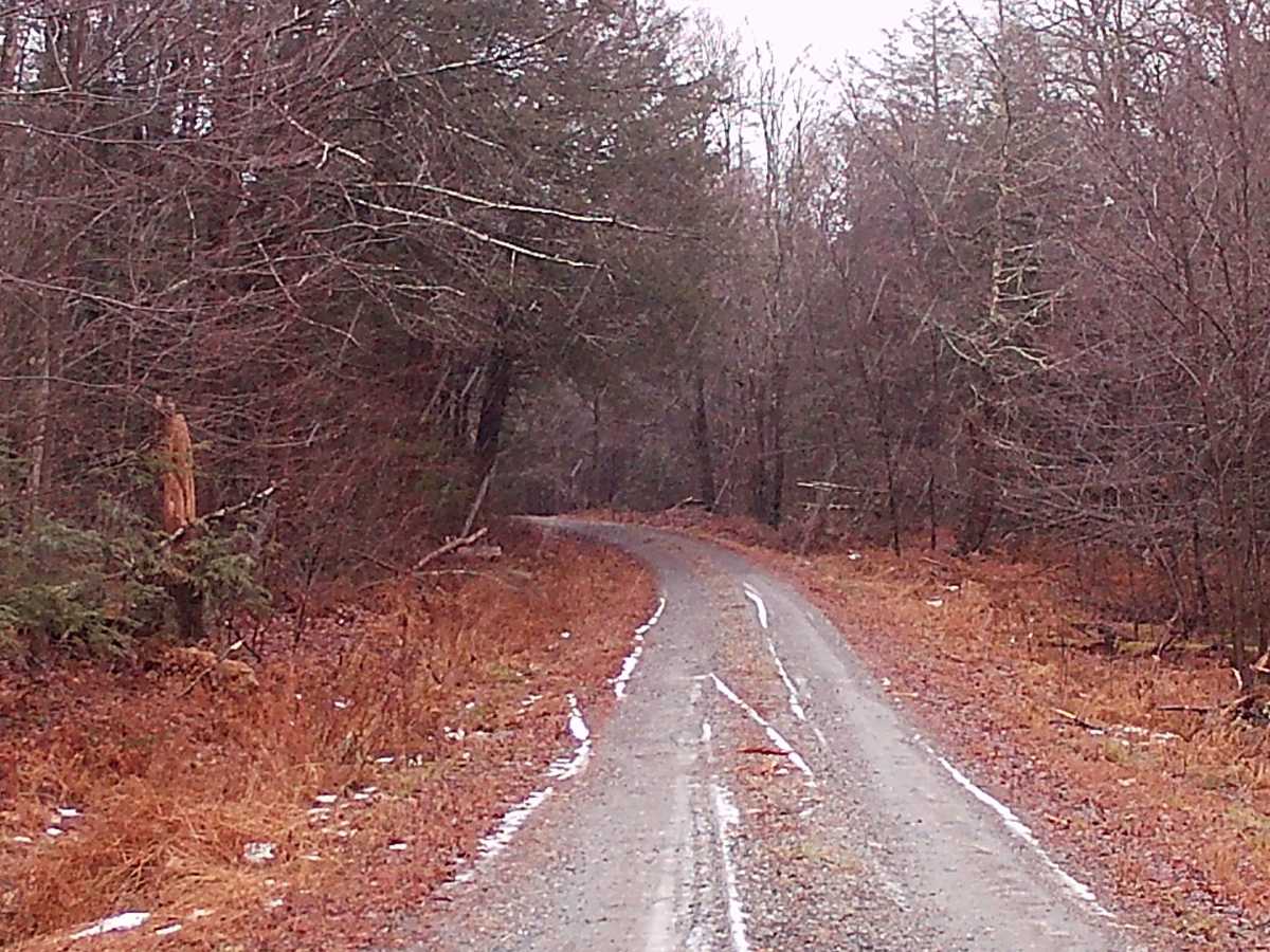 Huckle Run Road photo 6
