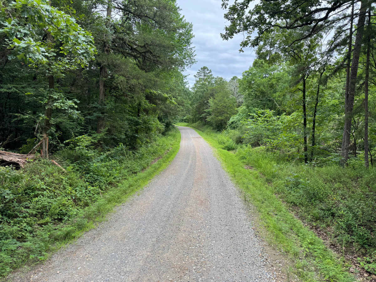 High Shoals Road photo 4