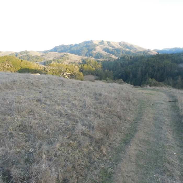 Near Bolinas Ridge