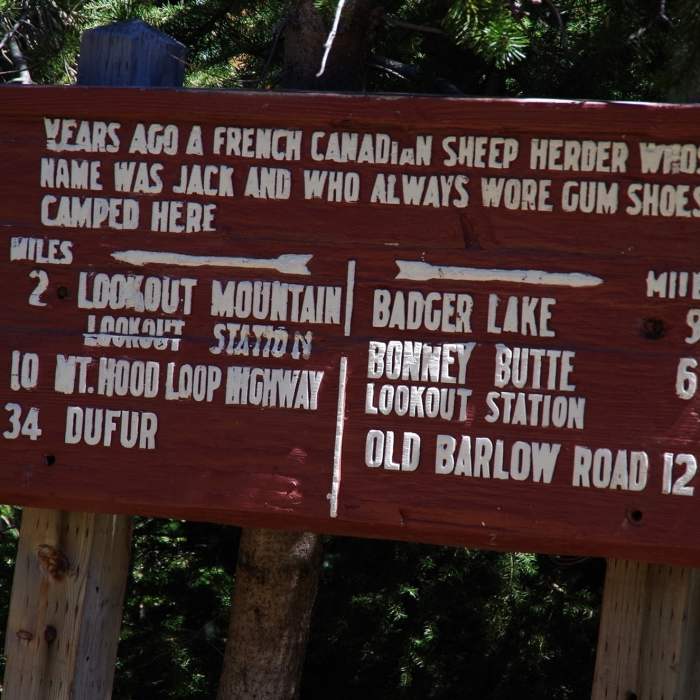Near Gunsight Trail #685