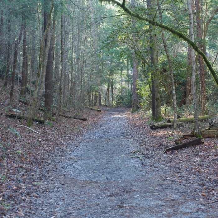 Cooper Road Trail | Hiking Trail Maps, Difficulty, Trail Status | onX