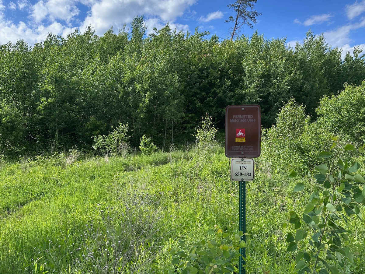 Woodchuck trail photo