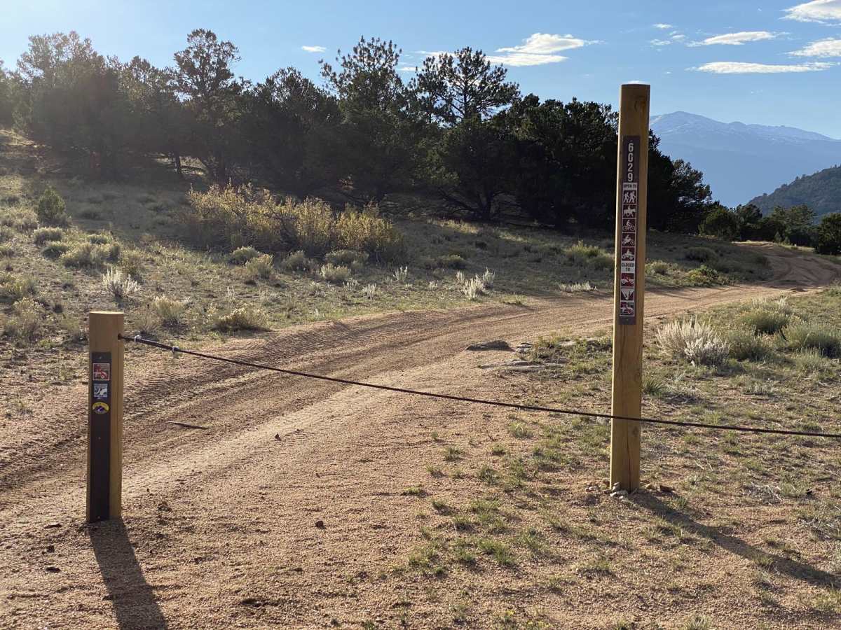 BLM 376 photo 5