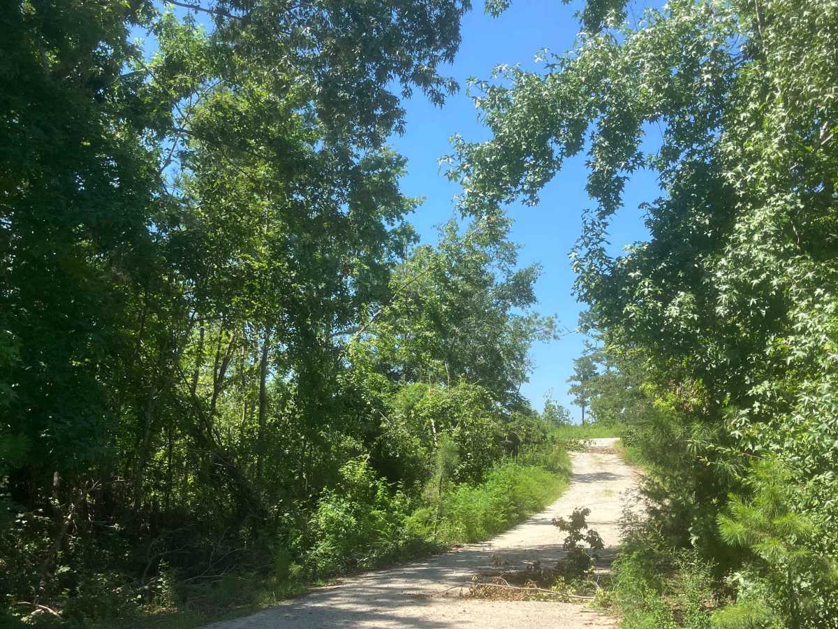 Mason Wildlife Trail South trail photo