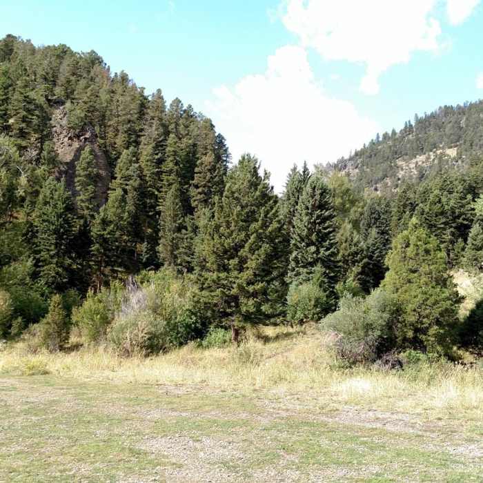 Near North Dry Creek