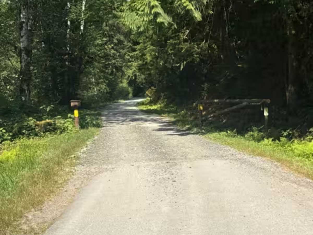 Lower Sandy Campground trail photo