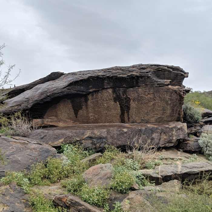 Near South Mountain Park - East Tour