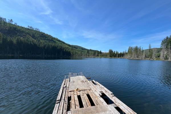 Wild Dear Lake
