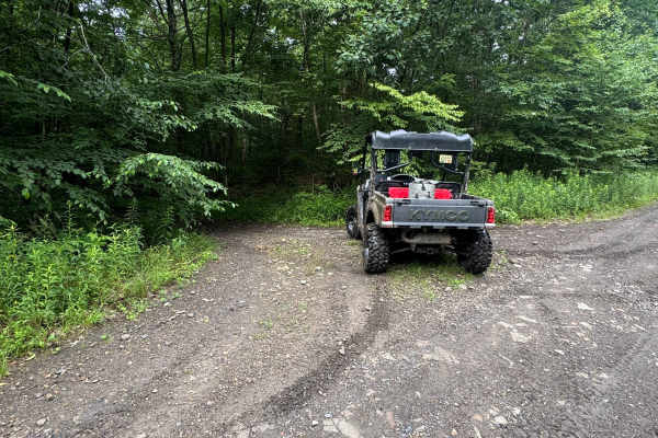 Trail 61