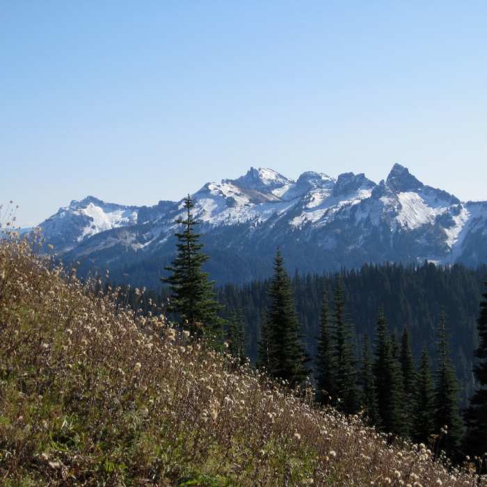 Near Rampart Ridge