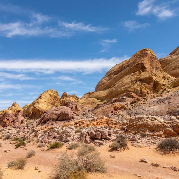 All different hues of rock on the White Domes Loop. Near White Domes Loop