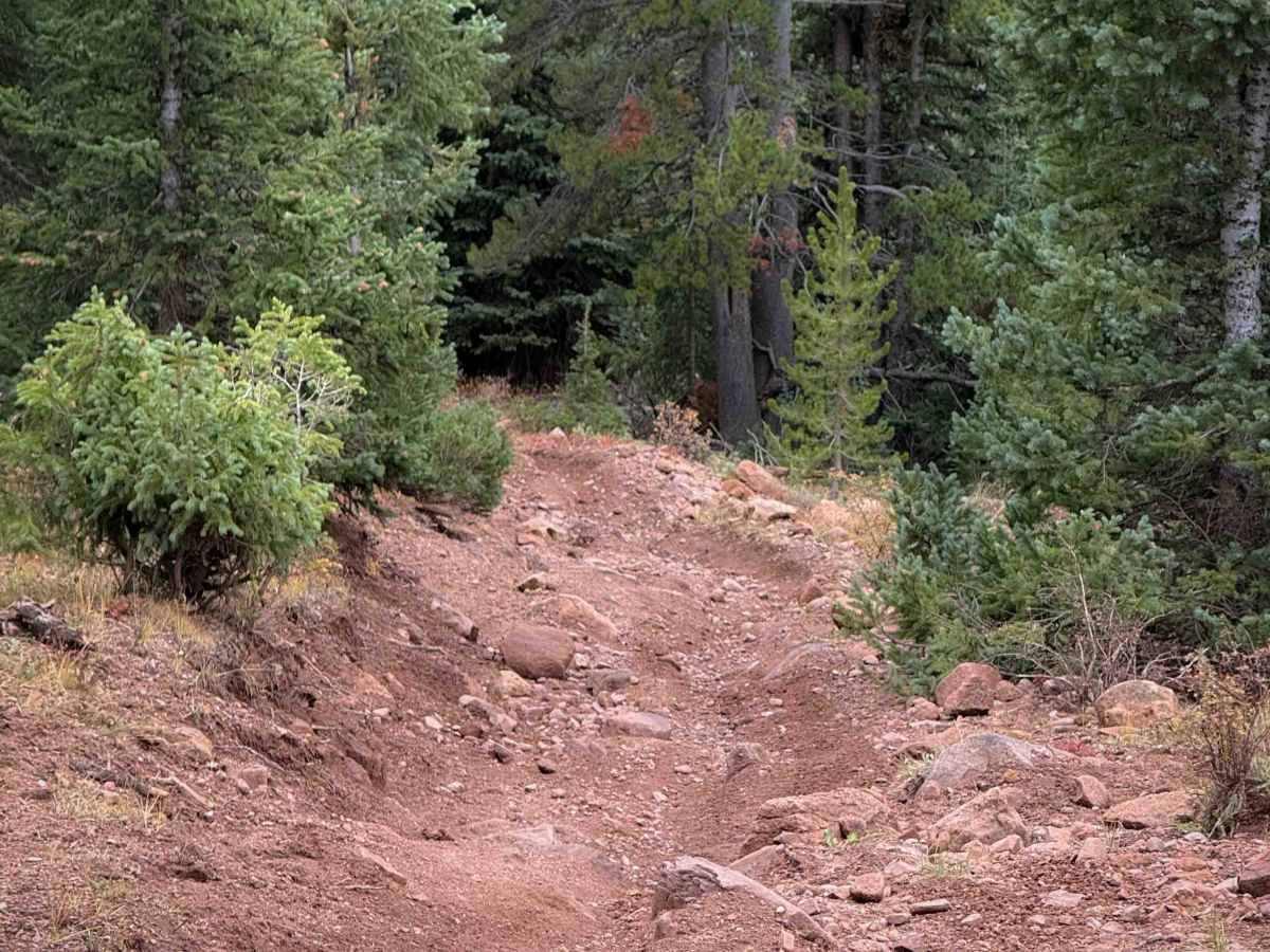 Bear Creek Trail South - FS 415 photo 2
