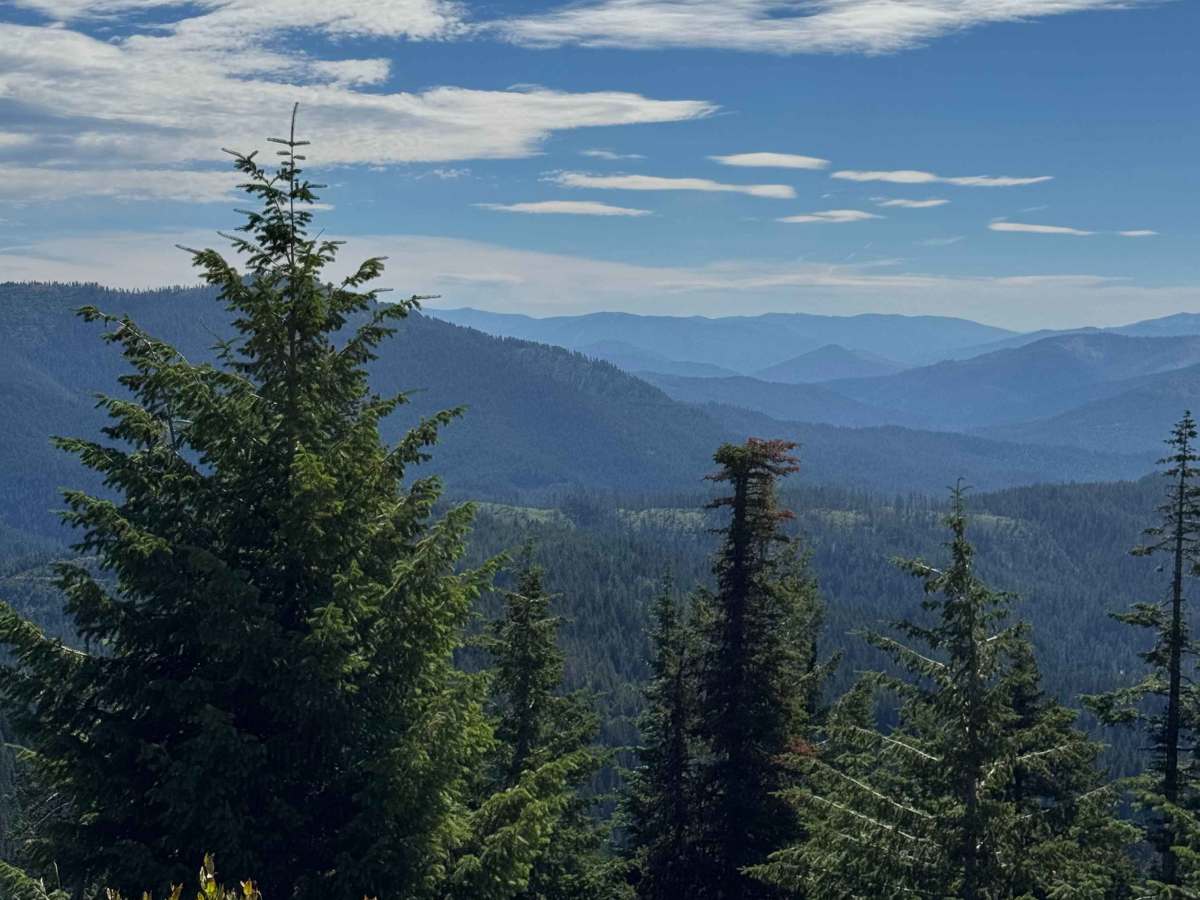 Bumblebee Peak photo 5