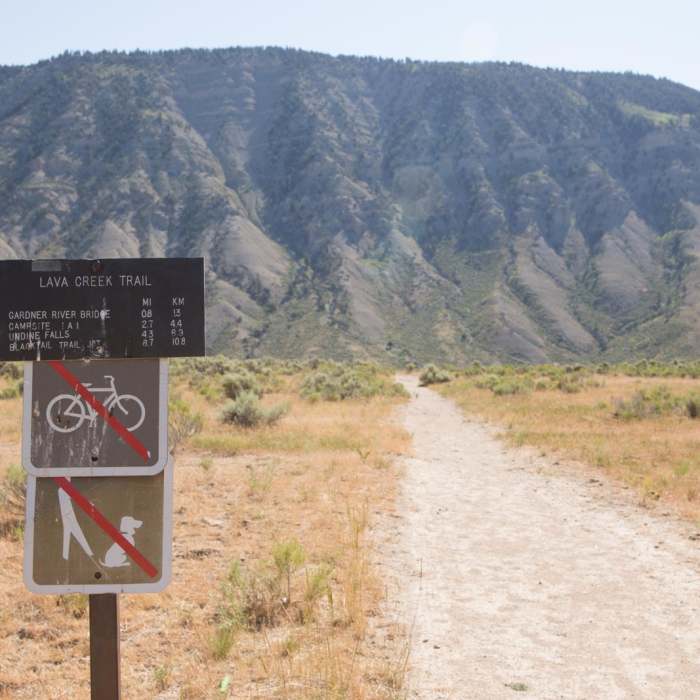 Near Lava Creek Trail