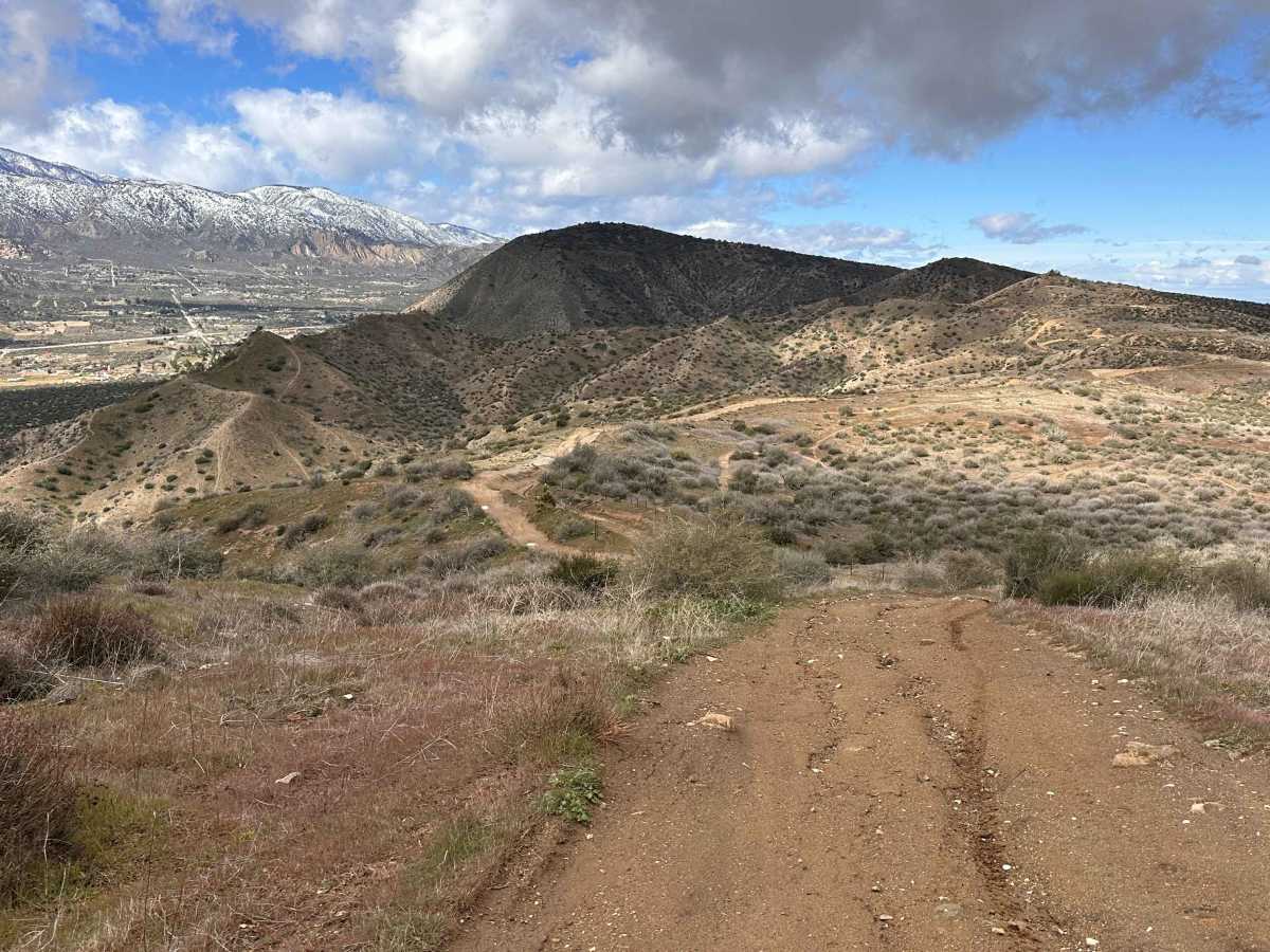 Baldy Bald Climb trail photo