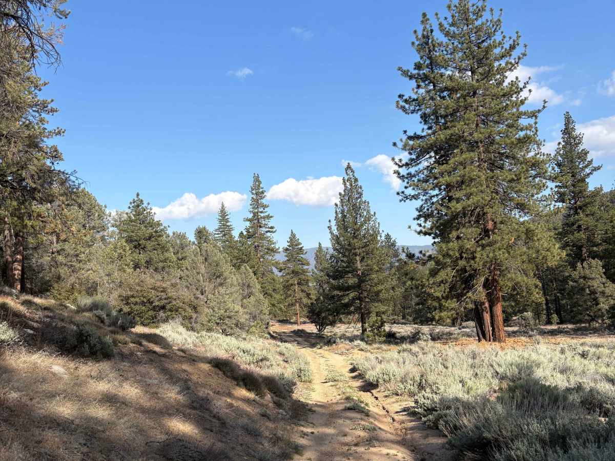 Mill Canyon - FS 9N04 trail photo