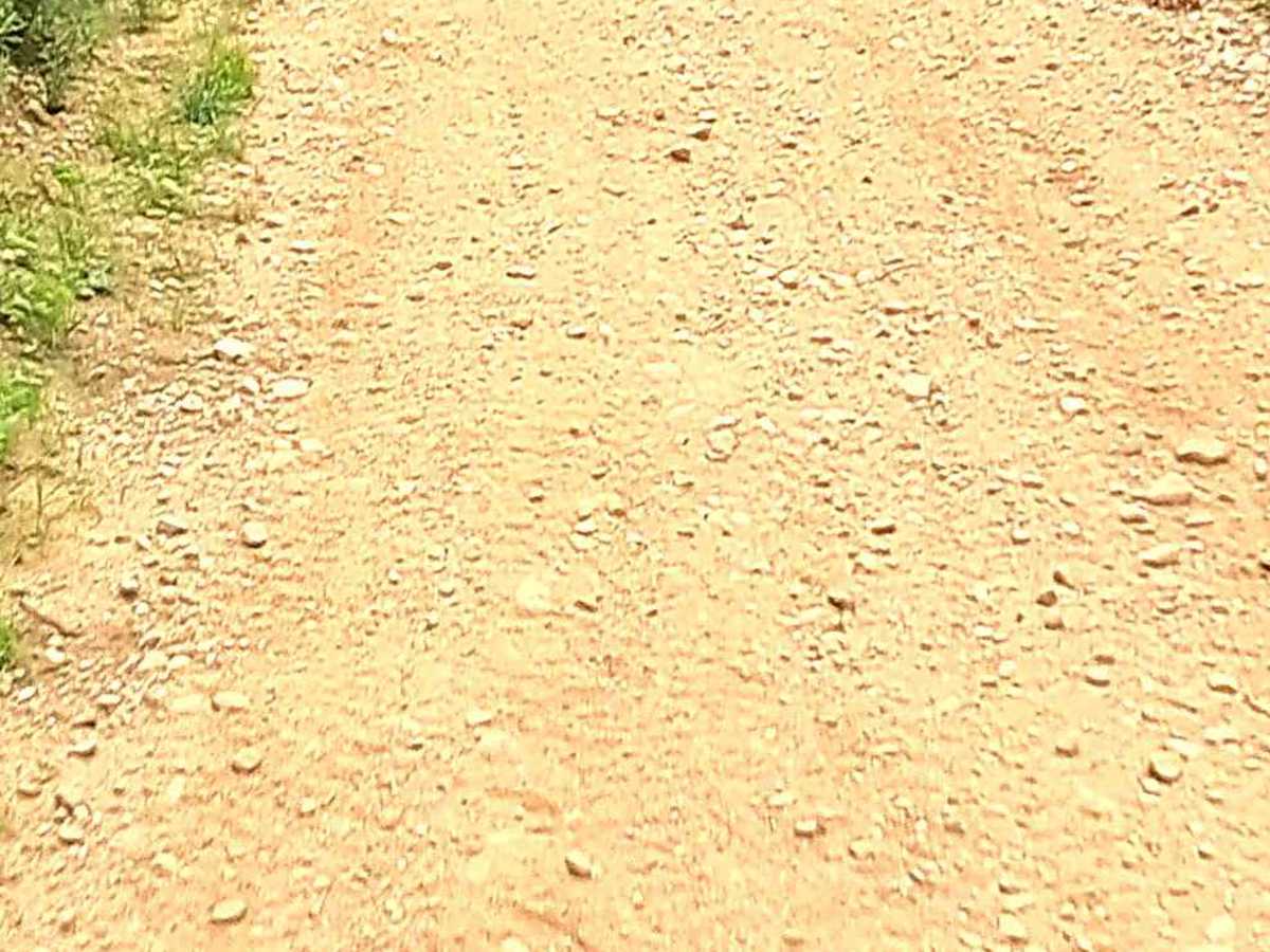 Section 32 Road South - FS T45N-R25W photo 4