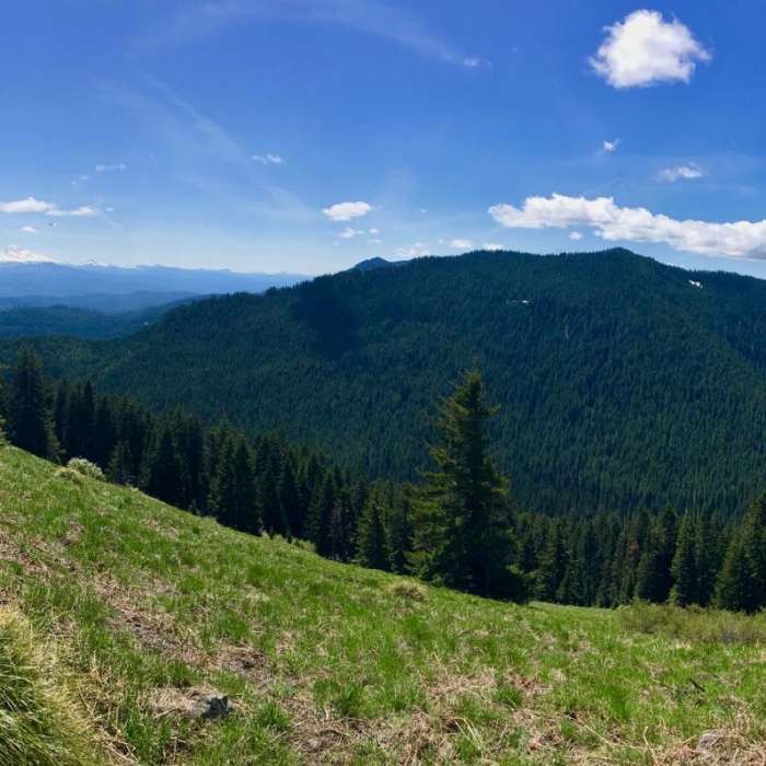 Near Crescent Mountain